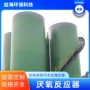 制造制药浓度厌氧反应器