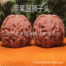 �޽��T��������Ҙ��簫���{���^����������Ա��Ϸ��Nֲ����Y��