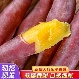薯干类;其他坚果炒货;其他果干蜜饯