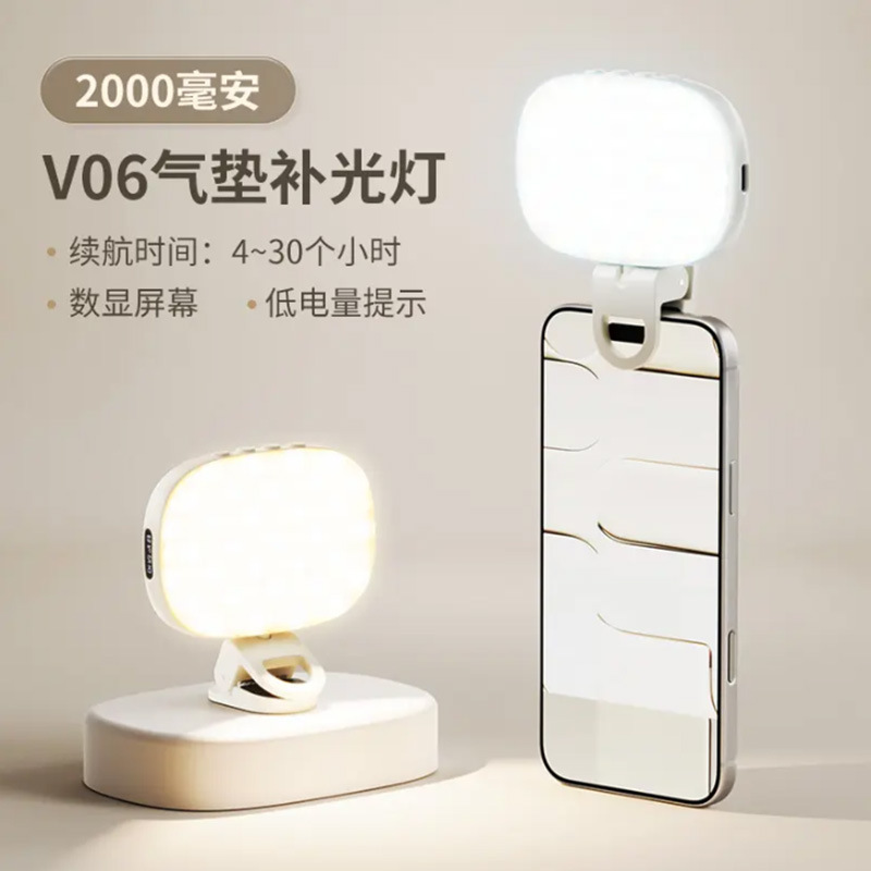 [Upgraded long-lasting model] Portable large goose egg lamp-2000 mAh version