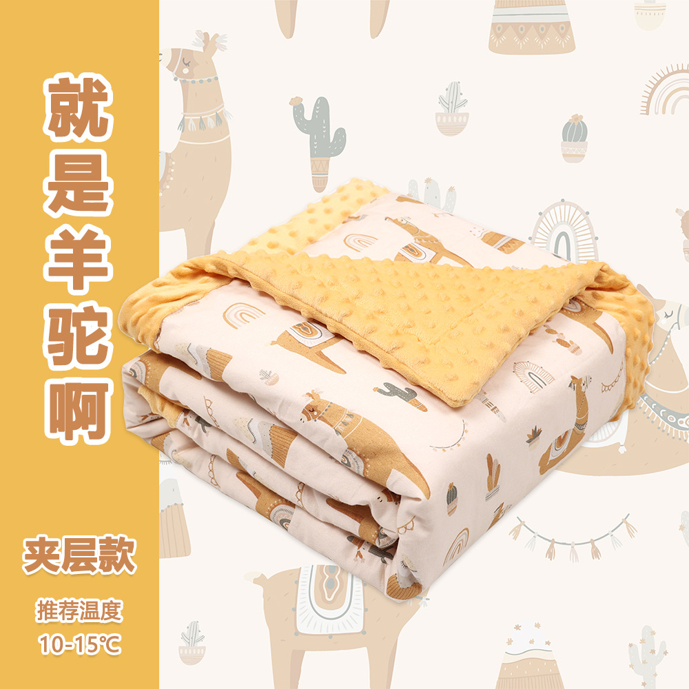 알파카-가을과 겨울