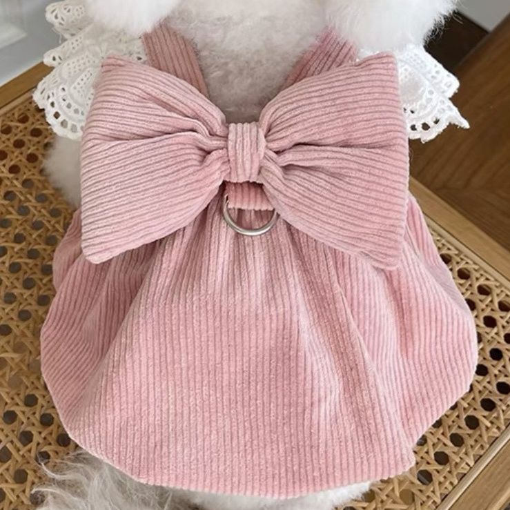 宠物衣服秋冬新款灯芯绒南瓜裙牵引扣泰迪比熊狗狗猫咪保暖蕾丝裙