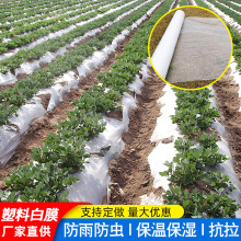 ׵ĤϱĤɫĤ߲˷N^rùĤ