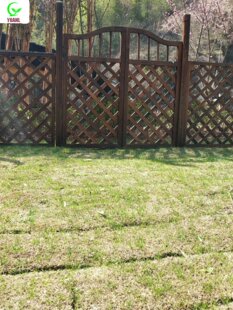 ����ľ�T�h�ʖř��T����ͥԺ�����bˈ@ľ�T����T���ټܻ��@�T