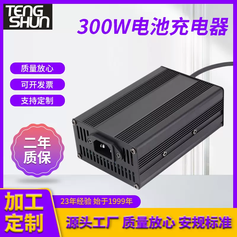 安规 29.4v10a 42v6a 54.6v5a 67.2v4a 锂电池电动车轮椅车充电器