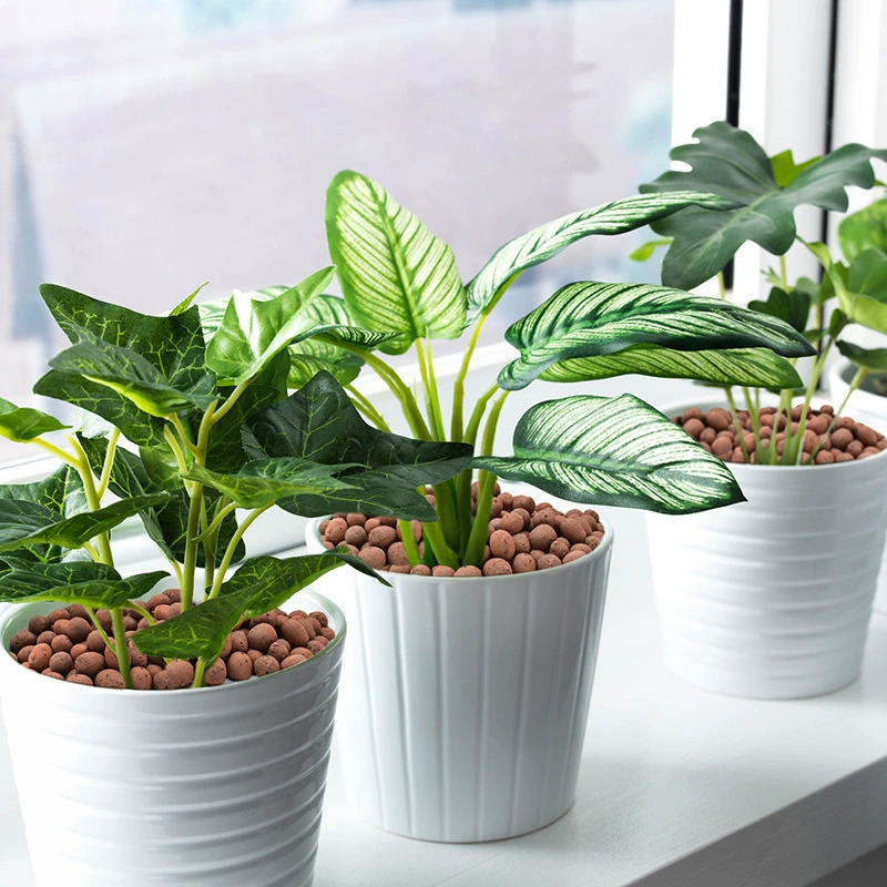 Глиняная глиняная глиняная гранула общего назначения