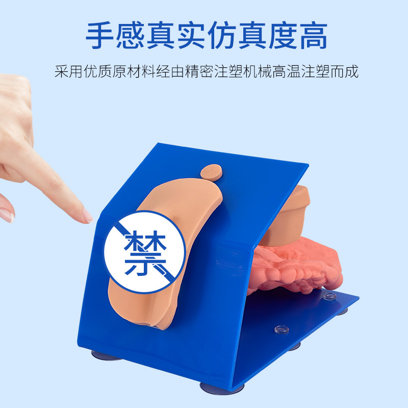 װʽŮԵģŮֳҽѧѧѵģ