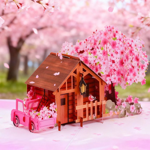 ���⼤���и�ѻ���С��3D���w����ʽ�R���ֹ����չ���ף���YƷ��