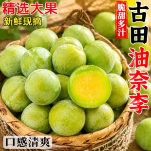 �������������r�Fժ���x��������֭�ڸ���ˬ���Ӯ���ˮ�����l