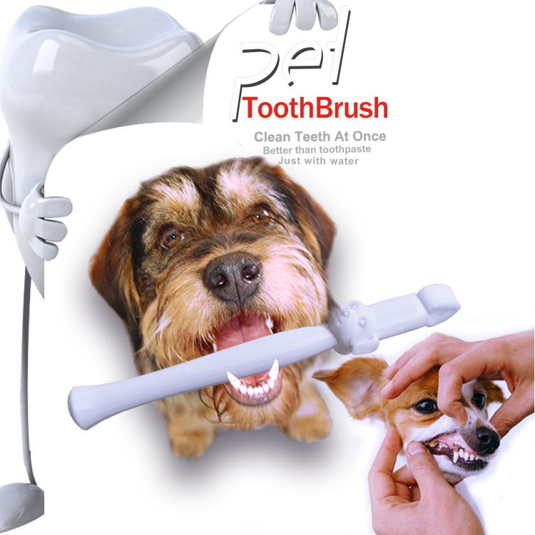 寵物口腔清潔 狗狗牙齒清潔擦  清潔牙漬 口腔新品 牙齒清潔