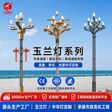玉兰灯中华灯 6米-12米LED景观路灯市政道路广场户外亮化工程定制