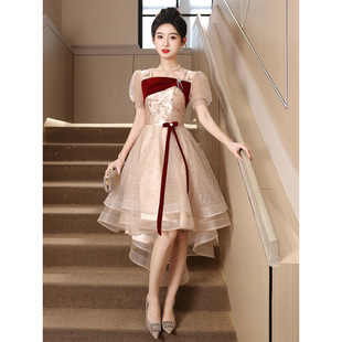 Toast Dress for Bride 2025 New Engagement Dress for Women Classy Homecoming Birthday Princess Dress for Small People to Wear Every Day