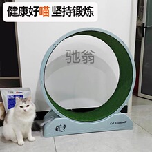 fyt圆形猫咪跑步塑料大号特价猫爬架新款环保滚轮猫咪减肥运动器