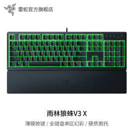 RazerORNATAV3X雷蛇雨林狼蛛V3X游戏机械有线电脑键盘轻便款适用