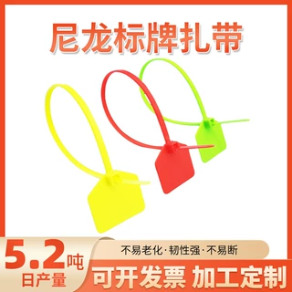加工定制彩色塑料网线标签尼龙标牌扎带标签吊牌扎带汽车防滑扎带