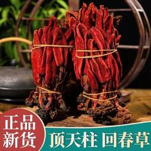 �ش���500�������؛�������ɐ�ز��ϲ�