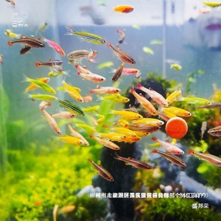 �S��ֱ�N�Ꭷ�^�p�~�t�{���R�~С�ͽ��~���^�p�~������ȸ�t�G����