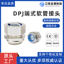 黄铜镀镍DPJ丝扣IP68箱体端外螺纹连接六角帽蛇皮管锁头