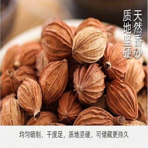 Wholesale sourced from Sichuan: Premium, fully dried Amomum villosum—ideal for enhancing the aroma and flavor of meat stews and other dishes as a versatile spice seasoning.