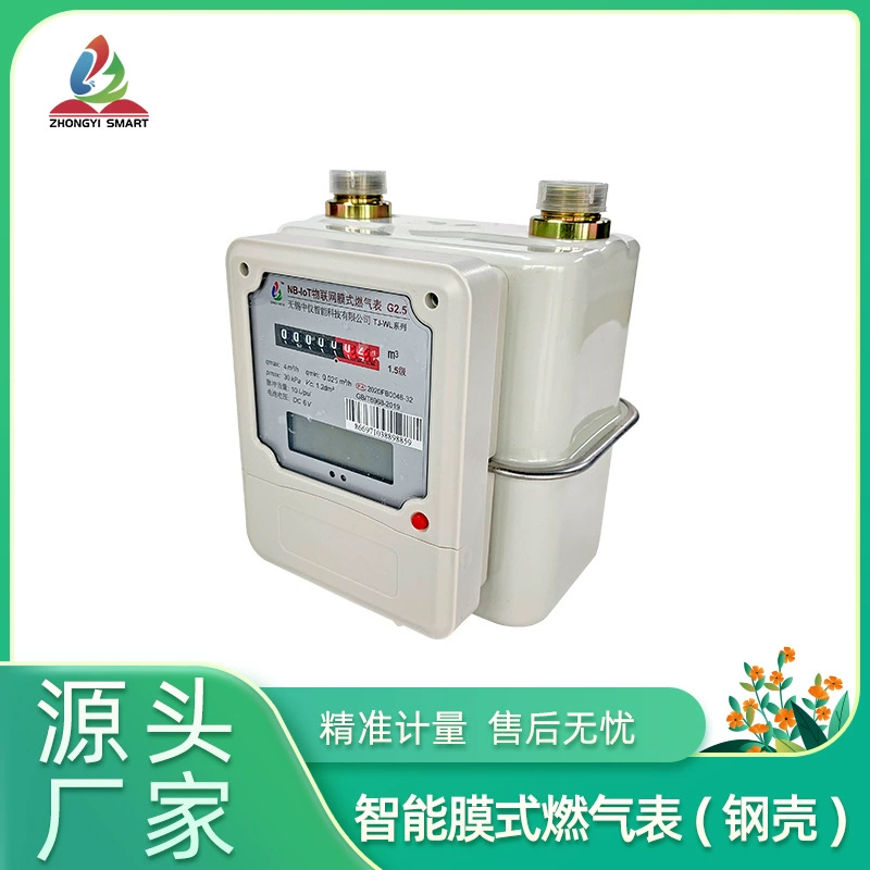 LoRaWAN домашний газовый счетчик g4 счетчик IoT газовый счетчик умный стальной корпус газовый счетчик интеллектуальный газовый счетчик