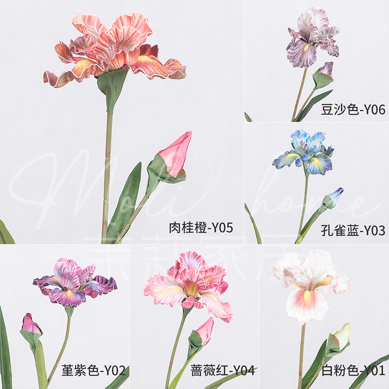 아이리스 [색상 비고 필수]