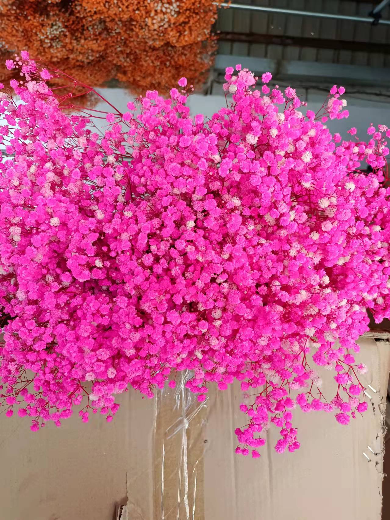 微信图片_20220209094026