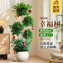 �����Ҹ������Կ�����ֲ���ڶ������ֲ��칫�Ҵ�������辰����