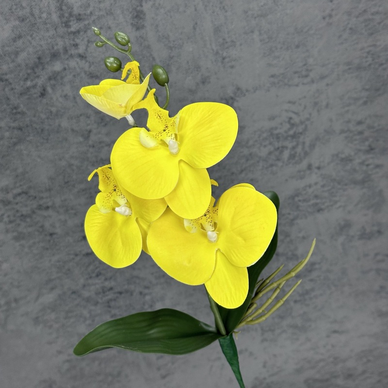 Amarillo