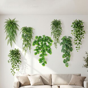 ���R�d�羳����ڒ�Gֲ��˹���ٗl���ڑҒ��bٻ���������ֲ��