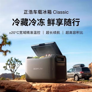 Zhenghao Ecoflow (Classic) Car Refrigerator 35 Liters 45 Liters 55 Liters Dual Temperature Zone Temperature Controlled Outdoor Refrigerator