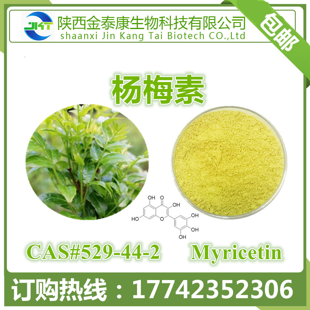 藤茶提取物 楊梅素98% Myricetin 楊梅黃銅 楊梅甙甘 100g每袋