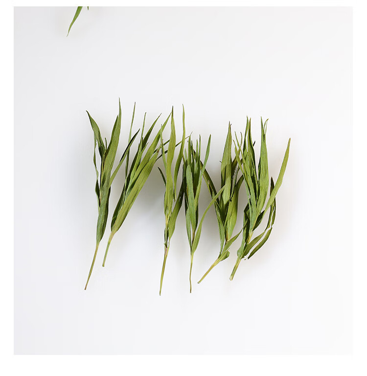 Laoshan Dianzhu Ye Loose Herbal Tea 500g Fresh Bamboo Leaf Buds for Daily Brewing in use