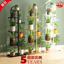 室内多层花架子绿植展示架家用落地式铁艺花架客厅阳台花盆置物架