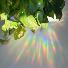 Cross-border Suncather Rainbow Projection Prism Electrostatic Glass Sticker Sun Catcher Rainbow Electrostatic Glass Sticker