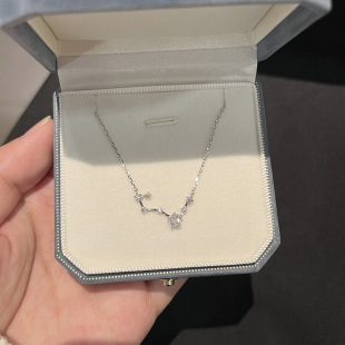 Star Necklace Light Luxury Niche Design Sense Stainless Steel Meteor Zircon Clavicle Chain 2023 New Style for Girlfriend