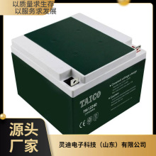 TAICO��늳�FM12240 12V24AH�����Դ �C����늙�