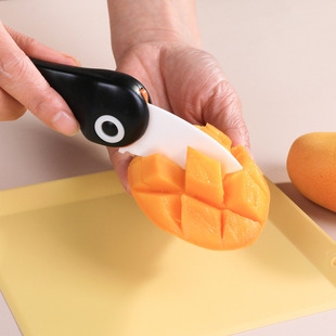 TAIDAMI Japanese ceramic fruit knife portable folding peeler kitchen baby food supplement knife