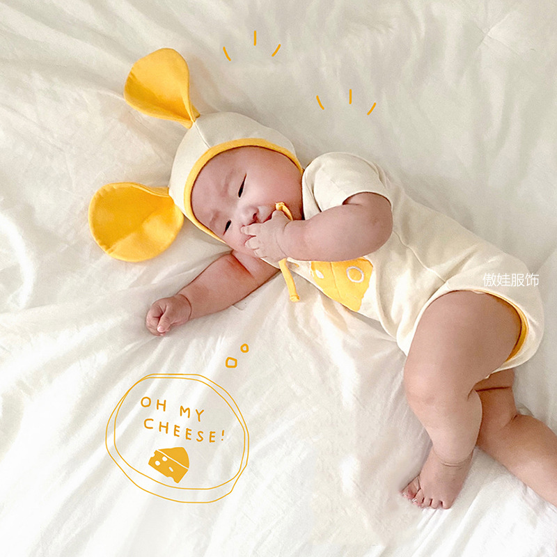 cheddarcheese_set_11