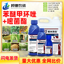 �����_�������� �����׾������Ѽ׭h���~������̿�ҵ�����������