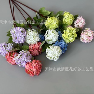��c���滨3�^ѩ�����Y�û���3�^ѩ��羳ľ����Ƶ��b���