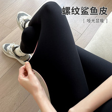 S613清仓竖条纹鲨鱼裤女外穿春高腰哑光打底芭比裤紧身提臀螺纹