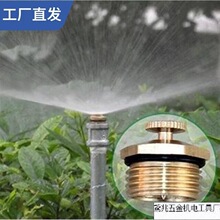 볿4~F^ {ʽGƺNֲȝˮ픇F