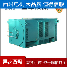 ������������늙CYϵ��Y8001-16 1000KW 6KV ���ஐ��늄әC