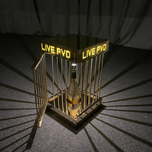 �羳LED�l���B�\�㙉������ɫ�僾Ƽ��Ɍ�KTV���չʾ�ܾưɵ���