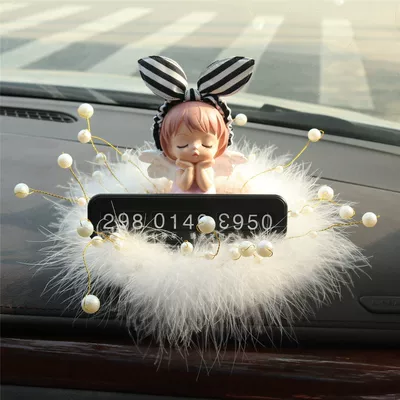 Nömrəli dayanma kartı – Decoration Accessories for Women - black-and-white-striped-annie-pink-pearl-feather-cushion-black-license-plate