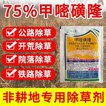 75%甲嘧磺隆除草剂50克 厂价批发绿无影甲嘧磺隆荒地杂草死根农药