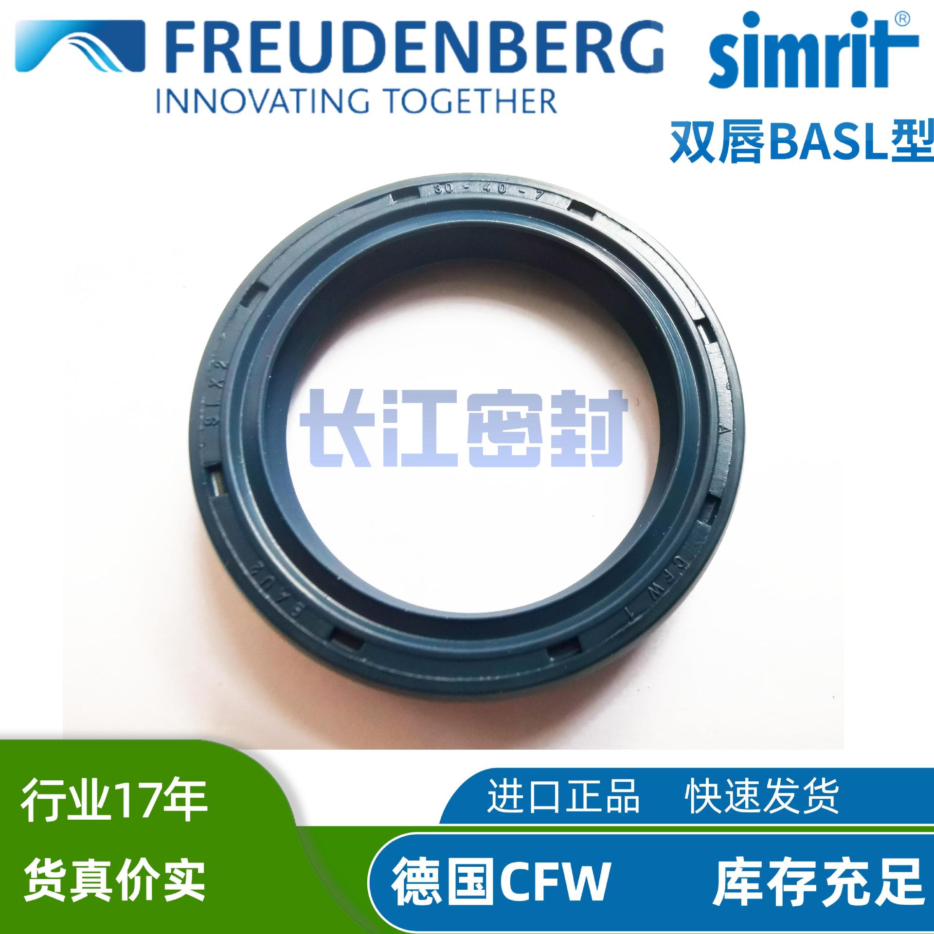 CZ CFW BAUSLX2  45-65-10 55-90-8德国进口油封DIN3760