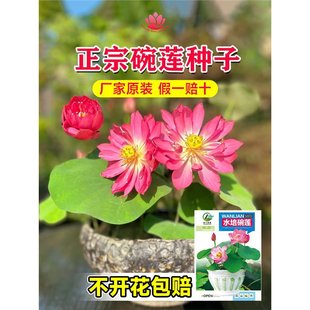 ˮɏNļ˯ɏɻˮBֲ҃ȸB~XݲѷN