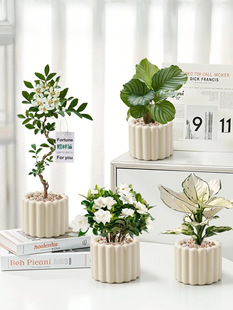 �k��������GֲС�����҃�ֲ��ins�����L�ļ����˺��B�����׃��@