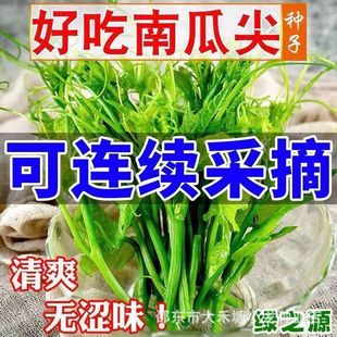 �����Ϲ��ٷN�Ӵ��＾���N�Ϲ��߲˷N�ӌ����Ϲ����o���~�Ϲ��N��